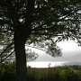 <p align=left>Sur l'île, nous arrivons pour le coucher de soleil. Pique- nique au seul parc situé derrière l'église.